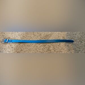 Teal Dig Collar Size 21 inches